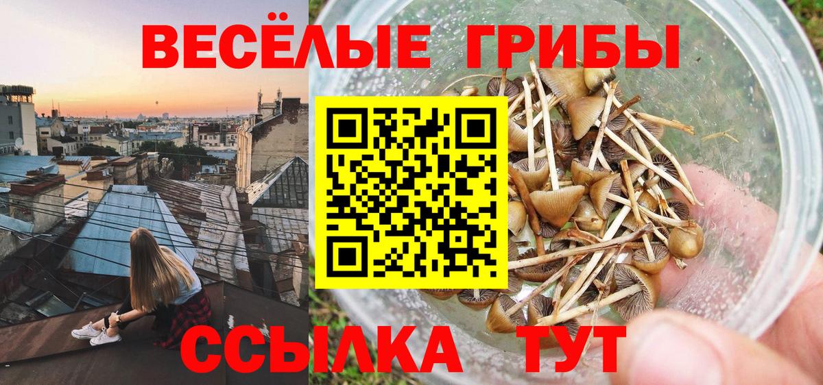 купить закладку  Вход с VPN  Кстово  Галлюциногенные грибы ЛСД 
